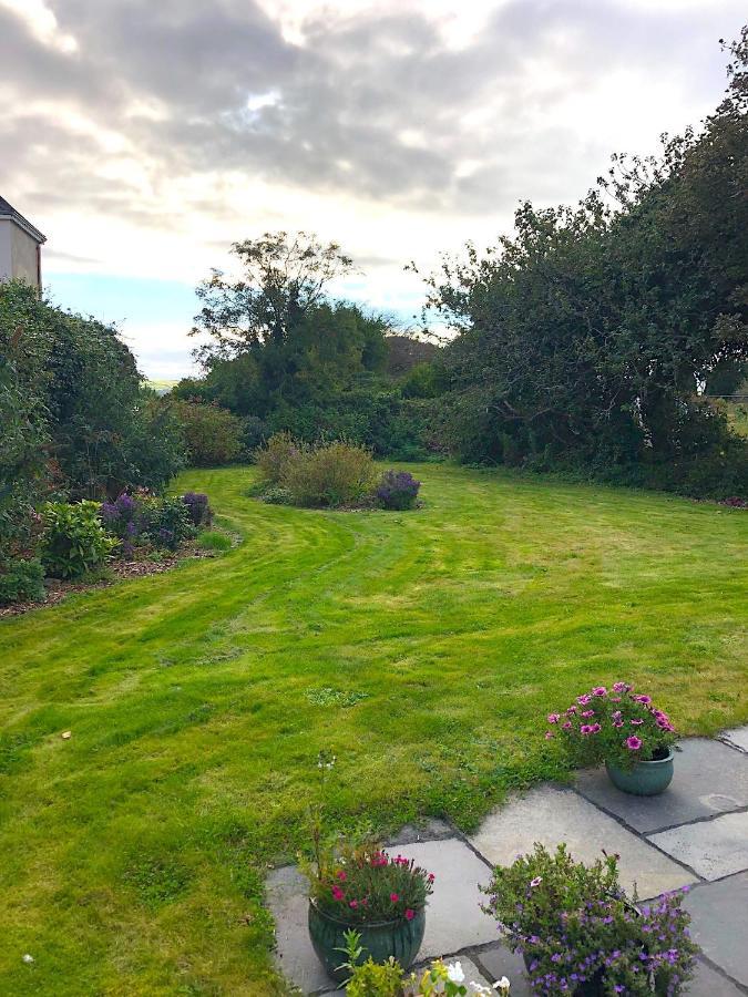 مبيت وإفطار Dingle Garden Townhouse المظهر الخارجي الصورة The garden of the house