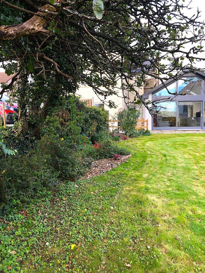 مبيت وإفطار Dingle Garden Townhouse المظهر الخارجي الصورة The garden of the house