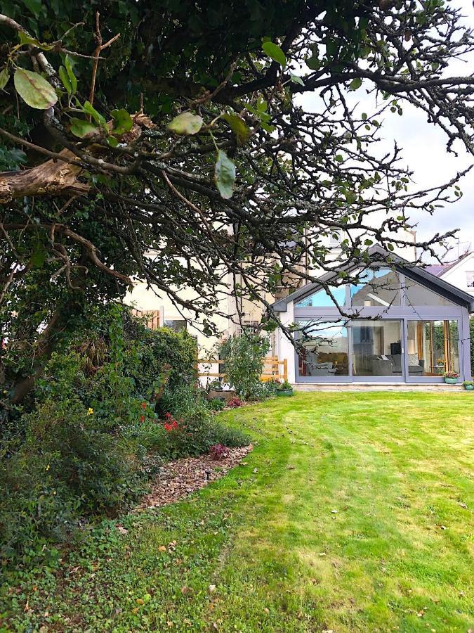 مبيت وإفطار Dingle Garden Townhouse المظهر الخارجي الصورة The garden of the house